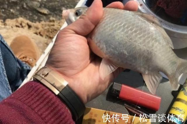钓饵|千辛万苦找饵料,你却不知这特效饵,大鲫鱼一见就狂咬,特过瘾