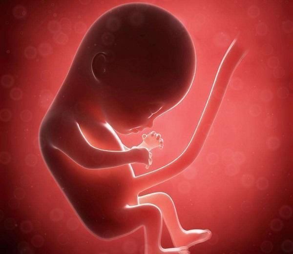 生育|男性年龄超过这个岁数,就别强求生二胎了,这4个影响很难避免