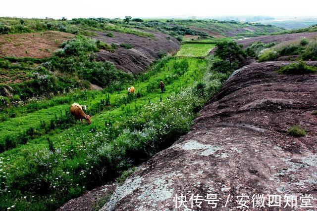 朱顶镇|五河县朱顶镇黄庄“石莲山”探幽