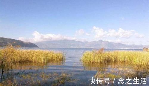 鲫鱼|冬季钓大鲫鱼,这五种钓位藏鱼多,遇上了别错过,连竿上鱼很轻松