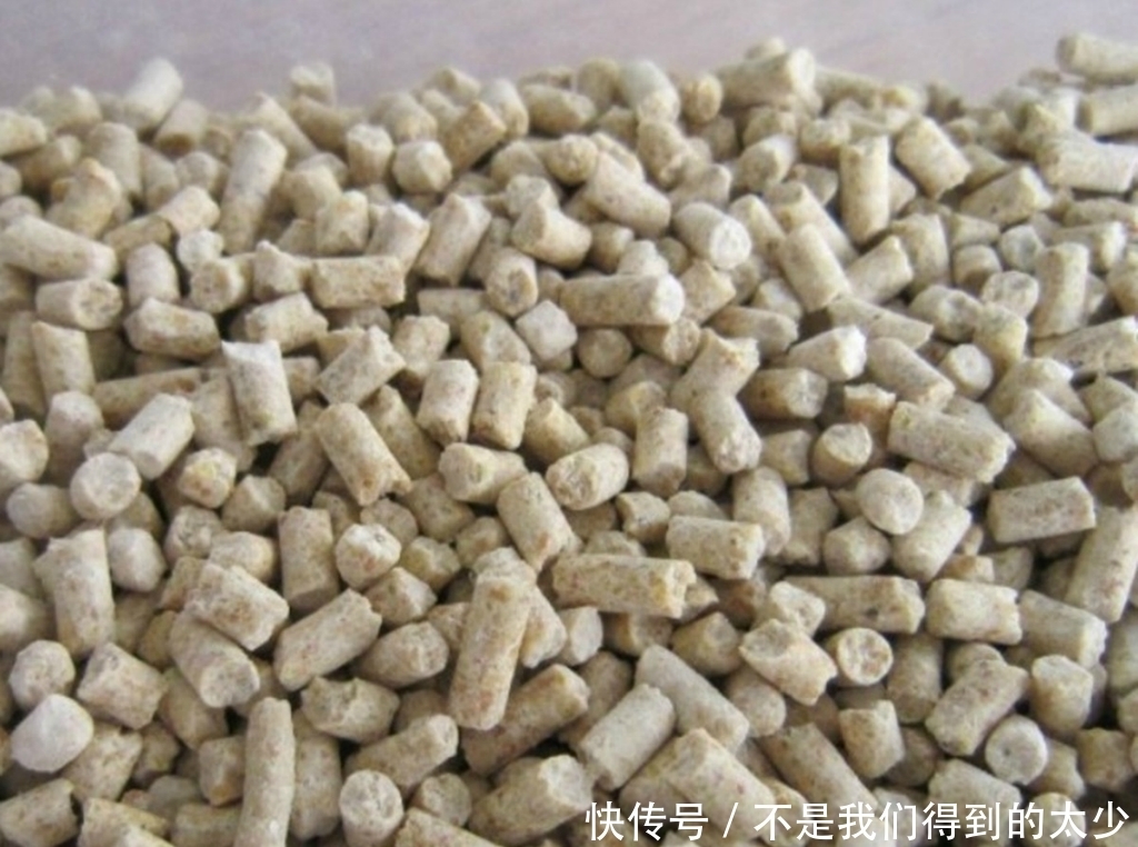 鸡饲料这样用,小鱼不闹,发窝更快