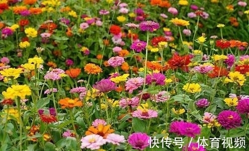 李贺&10大“狂”诗词排行榜,李白《侠客行》仅第三,前两名分别是谁?