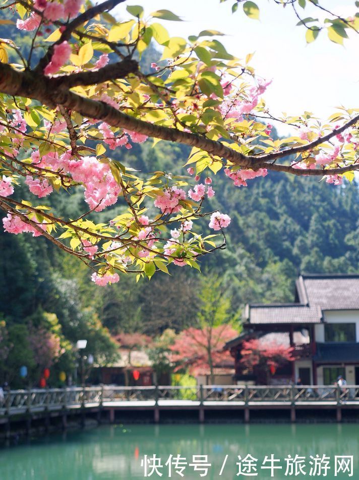 桐庐天子地，集樱花林、溶洞、湖泊峡谷的小众目的地，人少景美