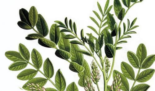 一到冬天肌肤就变差?一招教你毫不费力美回来!