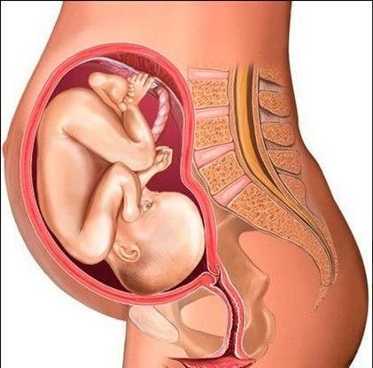 孕晚期这两个月是胎儿的猛涨期，这五个注意事项要提前知道