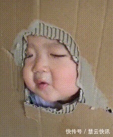 爸爸|宝宝吃饭到处乱爬,爸爸打造“囚笼”限制宝宝,妈妈看后拍手称赞