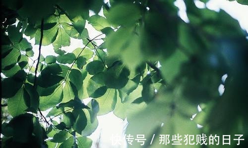 维生素a 新依美护肤不同季节的护肤干干干货,让肌肤不再干燥!