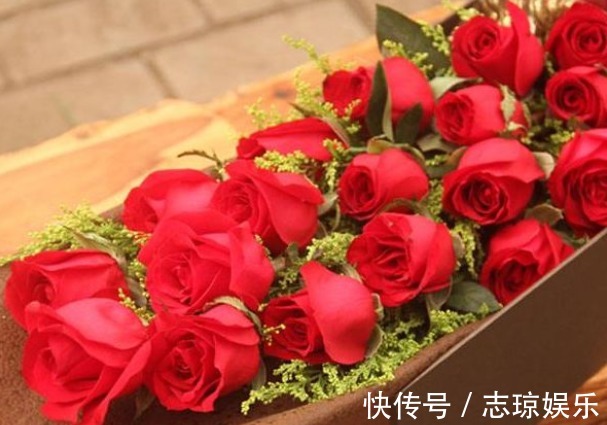 喜欢菊花，不如养“稀有玫瑰”卡罗拉，花色火红如火焰，美艳优雅