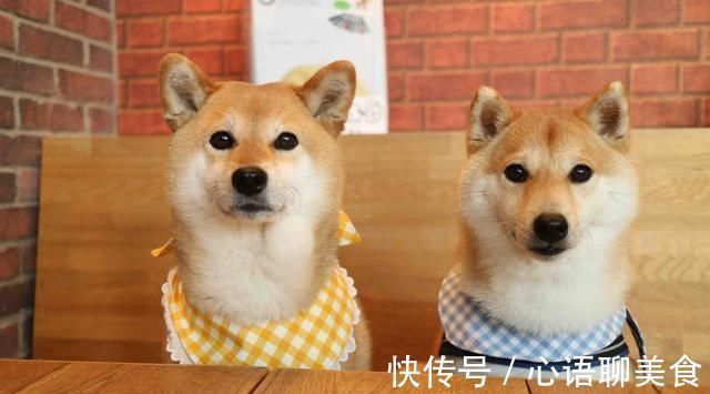 男孩儿|“生两个儿子,不生一个女儿”,听完二胎妈妈的故事,我恍然大悟