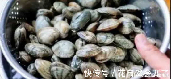 米醋|洗花蛤万万不可只加盐，渔民教你土方法，花蛤疯狂吐沙，很实用