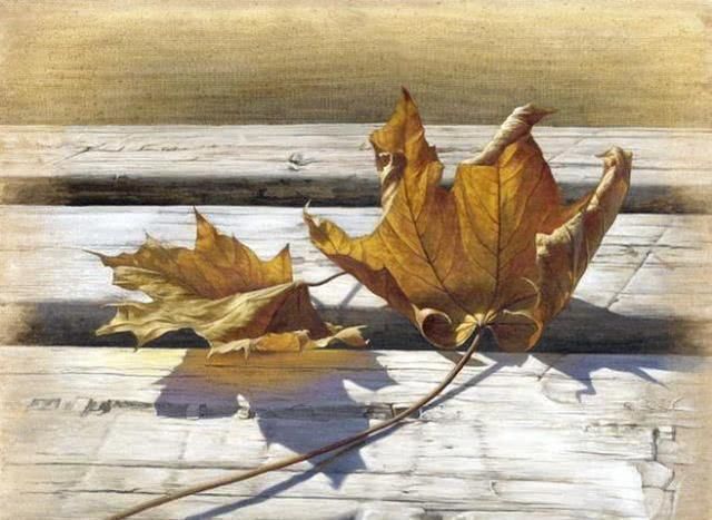 冷军|他画了根羽毛参加比赛,评委说他造假,放大十倍后,全都安静了