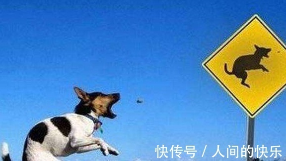 |10条超搞笑的段子,忍不住笑出声来(太好玩了)