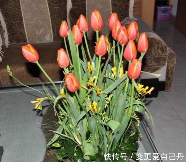 客厅和阳台,别养4种花,作为“毒花”的它们,对健康不利!