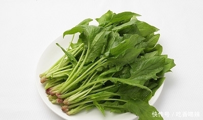 “圆叶菠菜”和“尖叶菠菜”有啥区别?菜农:差别很大,别挑错了