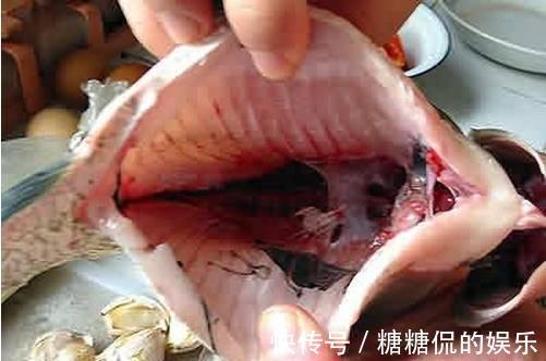 更上一层楼|从业10年大厨的肺腑之言,掌握6个烹饪原理,让你厨艺进步飞快