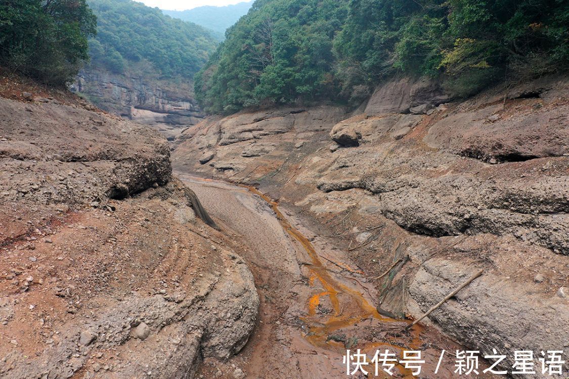 水库|淹没四十多年的古村遗址，重见天日，红杉林隐秘而迷人