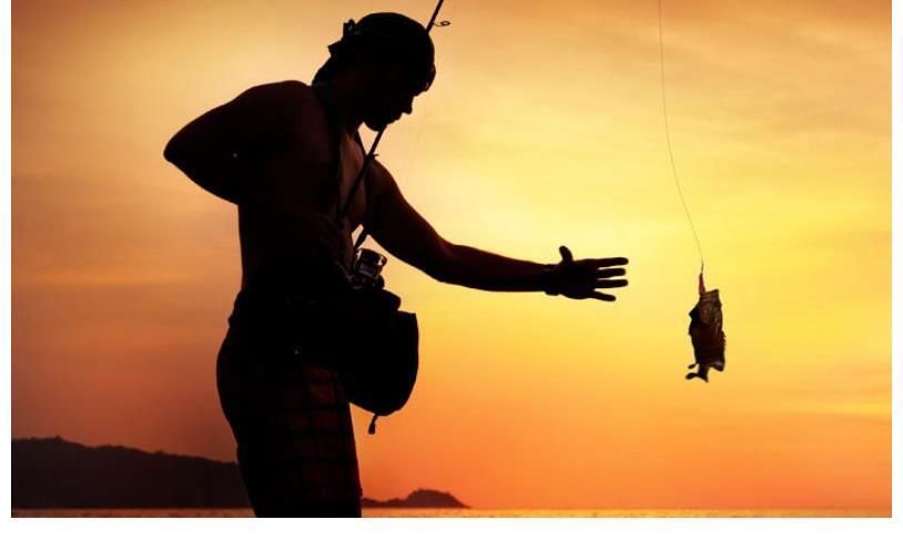 野钓板鲫从不打窝,照样连竿上鱼,学会这些“神操作”