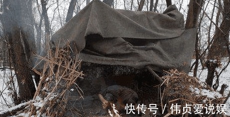 1男|揭開人性的丑惡, 1男7女困在一個荒島上, 8年后變成了這般