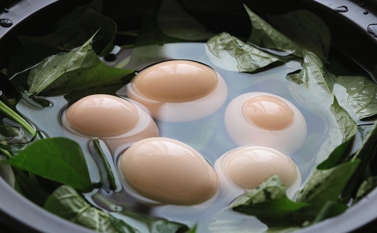 正当季|红薯叶煮鸡蛋,作用实在是太厉害了,省钱又实用,很多人都不晓得