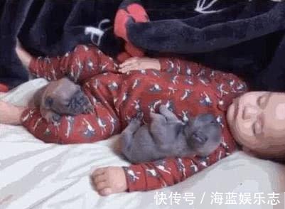 小主人|宝妈哄3岁宝宝午睡,半个小时后再来看宝宝,这画面太温馨了