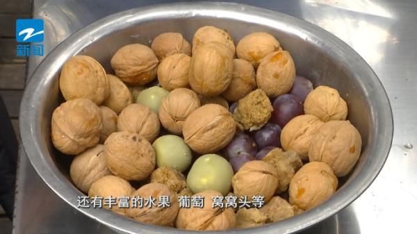 金刚鹦鹉|大饱口福！这些“特制汤圆”太美味了