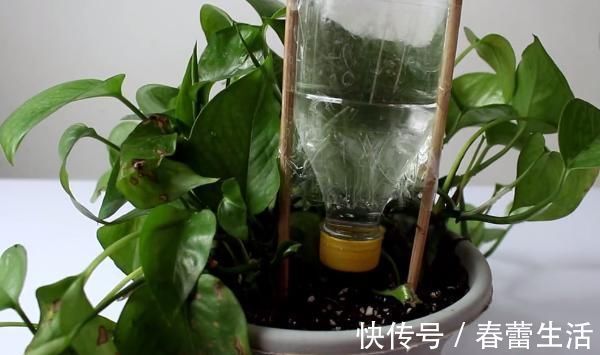 塑料瓶上绑2根筷子,解决了家家户户的困扰,在家做10个都不够