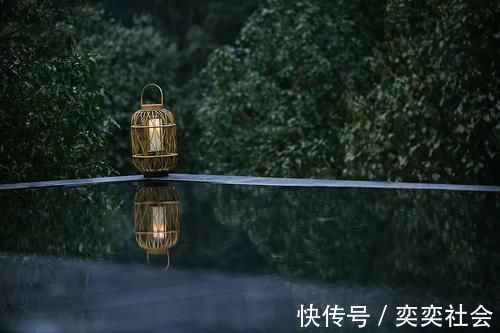 草木|他归隐山林,租了栋800㎡废弃三合院,改造后,却让网友羡慕不已