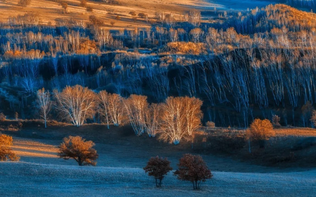 夕阳|细读十首刘长卿诗：日暮苍山远，天寒白屋贫