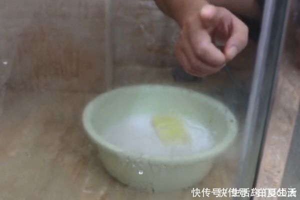 香烟加洗衣粉泡一泡太厉害了，10个家庭9个都需要，一年省不少钱