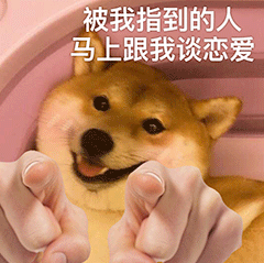 搞笑|微信搞笑表情包|有猪!我不说是谁