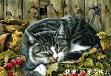 猫咪@美爆！一位美国人居然把水彩画出了国画的味道！膜拜，第一张就沦陷了