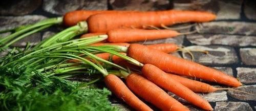 女性不想早衰，坚持吃的食物，排毒养颜，呵护肌肤，吃了不显老