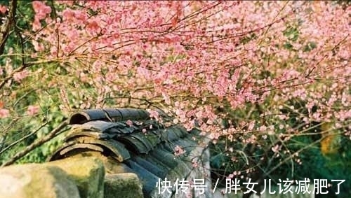 杜甫#山青花欲燃,这个春天,醉倒在唯美古诗词里