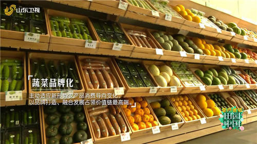 张文汇和|《田园中国》分享蔬菜之乡的成长故事