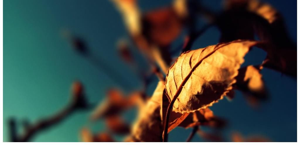 治愈放松很重要，细心点充分能发现自己的方式