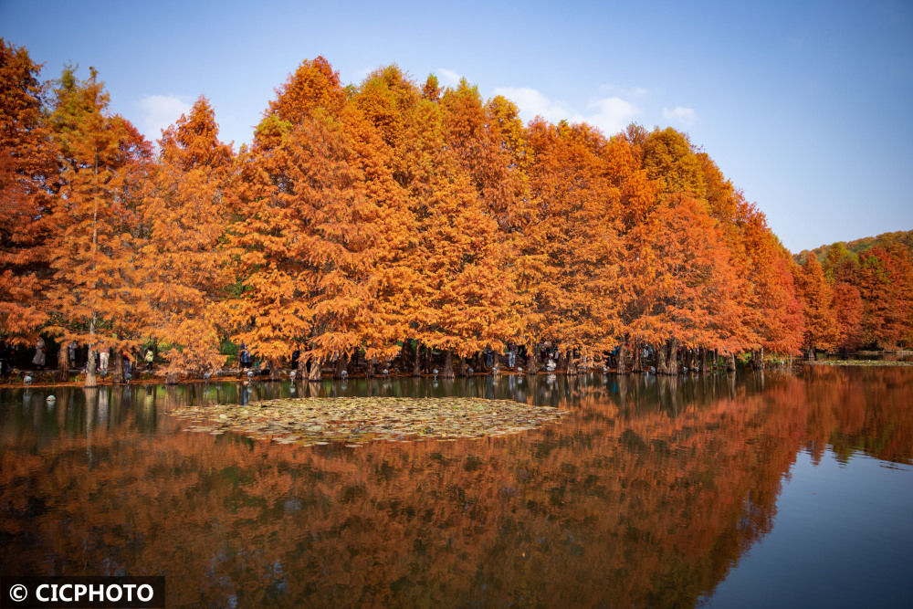 南京|南京：燕雀湖畔景如画