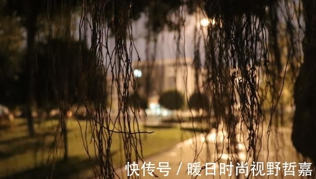 温庭筠|花间派鼻祖,过五丈原诗风大变,一首诗慷慨悲壮直追杜甫《蜀相》