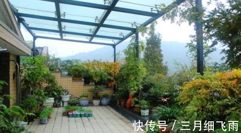 让8成养花新手都后悔的4个“妙招”,再看到别尝试