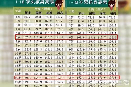 孩子|新版“儿童身高标准”出炉,一起来看看,你家娃“拖后腿”了吗?