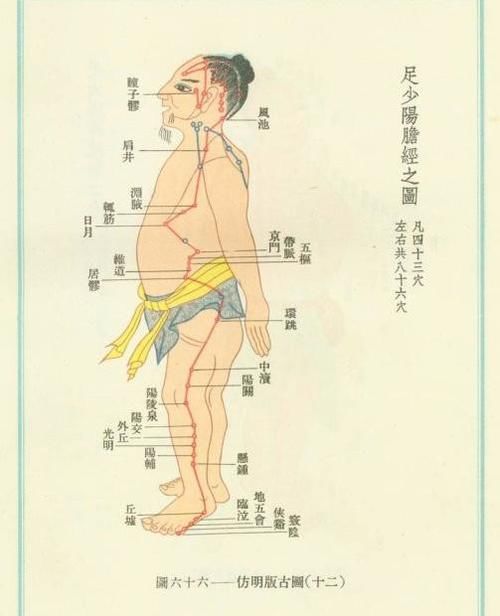 堵塞|健康养生：敲胆经，敲掉垃圾，敲除白发，收藏了吧