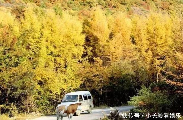 太行山中一个被遗忘的魅力小县，景色超美，还有2条挂壁公路