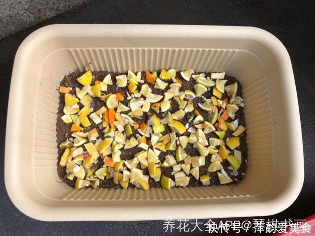 路边捡点它,开水一烫扔盆里,养花10年不烂根!