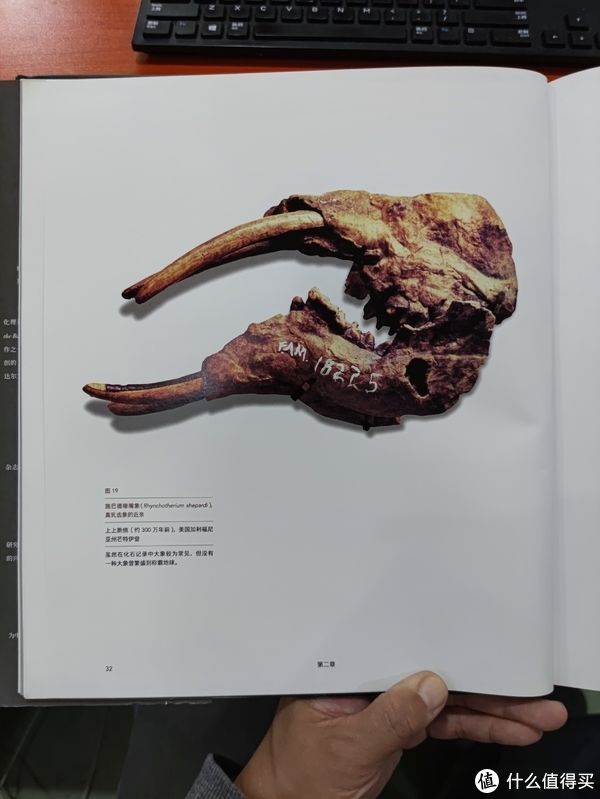 图书馆#图书馆猿の2021读书计划60：《灭绝与演化：化石中的生命全史》