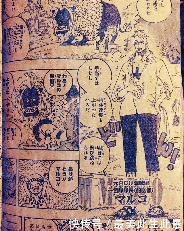 海贼王909话图片马尔高戴眼镜很斯文,他请猫蝮蛇带个话给路飞