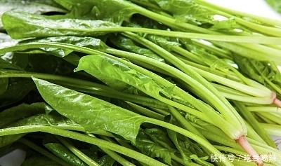 “圆叶菠菜”和“尖叶菠菜”有啥区别?菜农:差别很大,别挑错了