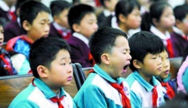 鸡肋|李玫瑾:这些兴趣班很鸡肋,家里再有钱也别给娃报,白耽误工夫