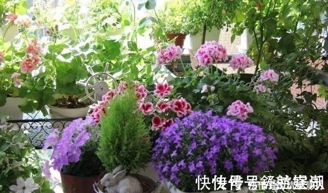 7㎡迷你“阳台造园”小阳台这样布置,也能美成的花园!