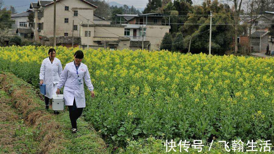 山茱萸|更年期耳鸣、爱出汗、总生气!有一招从古用到今,不过时