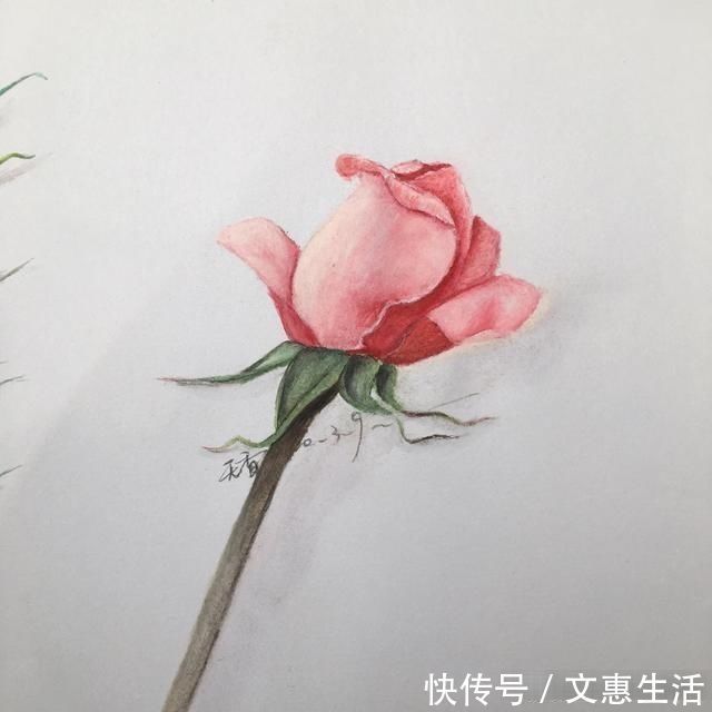 玫瑰花!手绘逼真的玫瑰花,只要四步就能学会,快来看看吧