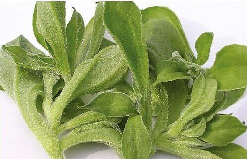 衰老|人到中年，适合多吃的食物，补充营养，延缓衰老，气色更红润